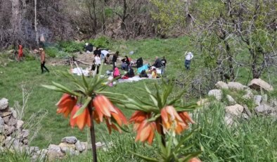 Kavaklı Köyü 34 Yıl Sonra Açıldı