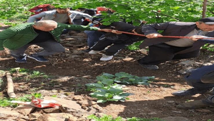 Kayıp olarak aranıyordu, kazada öldüğü ortaya çıktı