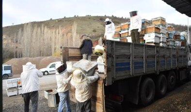 Kayseri’den Arıcılığa Destek
