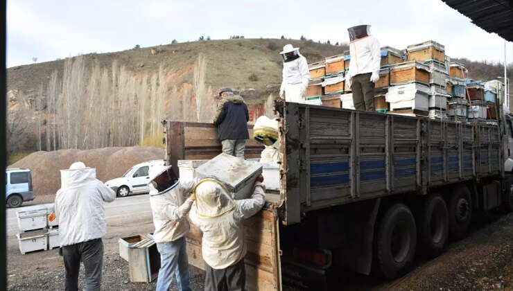 Kayseri’den Arıcılığa Destek