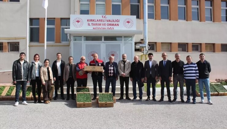 Kırklareli’nde 30 Bin Sebze Fidesi Dağıtıldı
