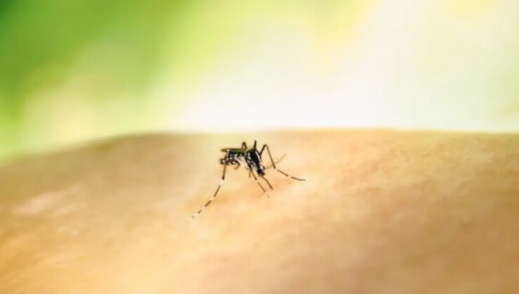 Kolombiya’da Sarıhumma Aşılama Zorunluluğu