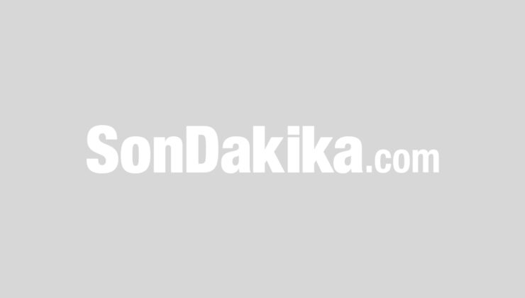 Kütahya’da 1 Milyon Ördek Hedefi
