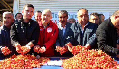 Kuzey Yarımküre’nin İlk Kirazı Hasat Edildi