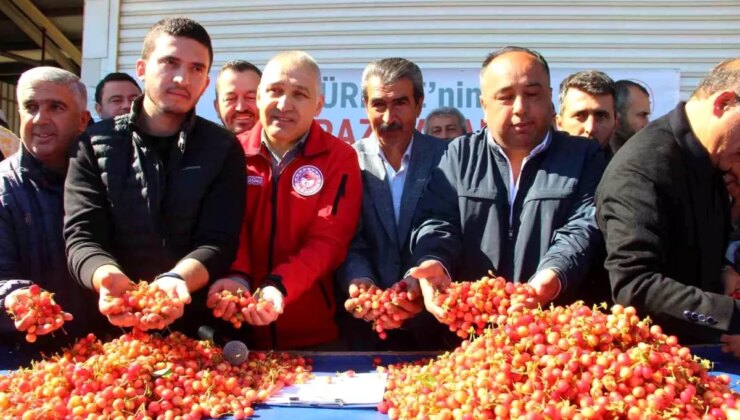 Kuzey Yarımküre’nin İlk Kirazı Hasat Edildi