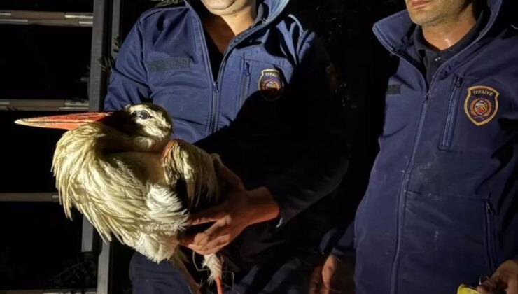 Leylek İtfaiye Ekiplerince Kurtarıldı