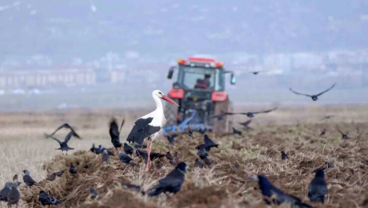 Mart’ta 195 Bin Taşıt Trafiğe Kaydedildi