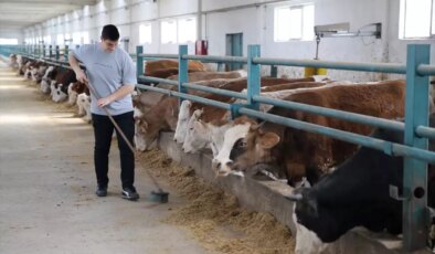 Modern Hayvancılığa Geçiş