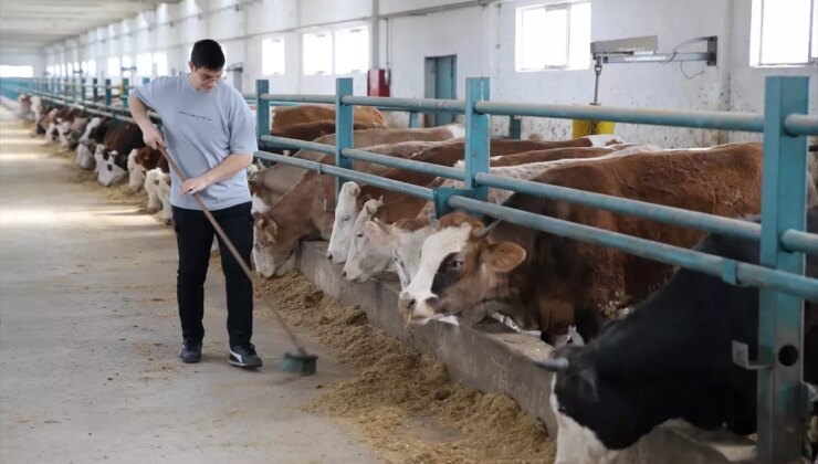 Modern Hayvancılığa Geçiş