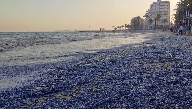 Gözde plaj mora büründü