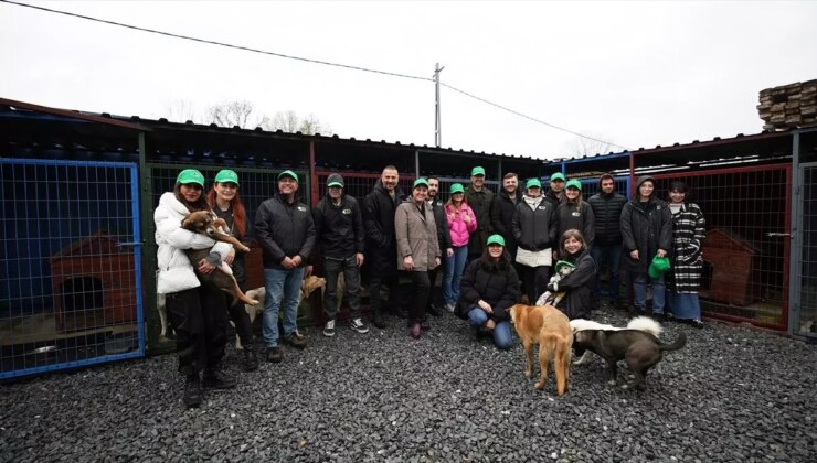 ON Dijital Bankacılık’tan ‘Pati Dostları’ Projesi