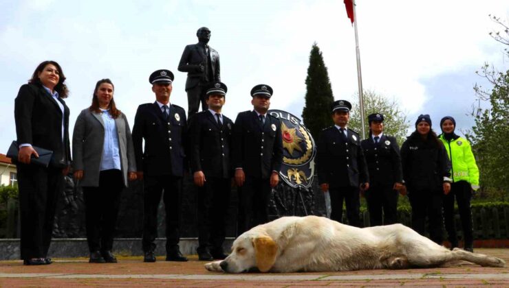 Taşova’da Polis Töreninde Duygulandıran An