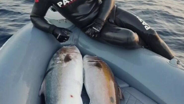 Rekortmen Dalgıç Saros Körfezi’nde 22 Kilogramlık Akya Avladı