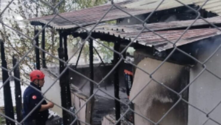 2 Çocuk Hayatını Kaybetti