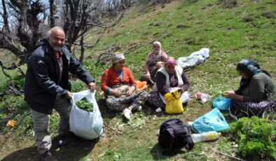 Sason’da Pancar Hasadı Geçim Kaynağı