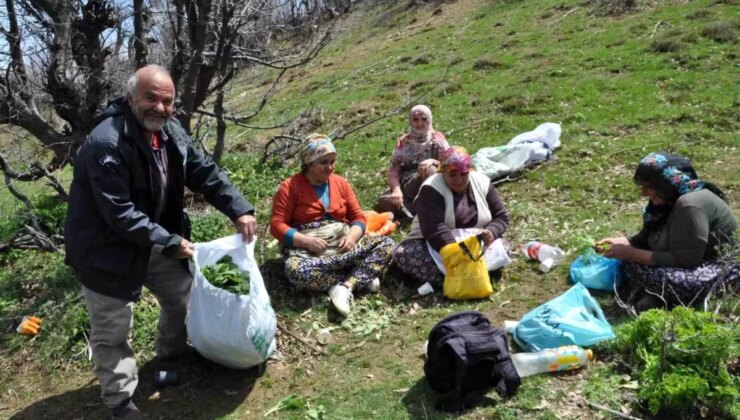 Sason’da Pancar Hasadı Geçim Kaynağı