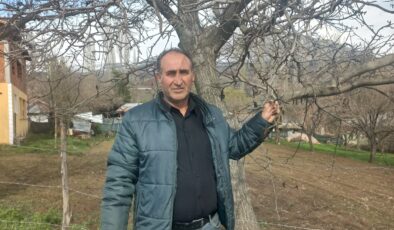 Şebinkarahisar’da Zirai Don Felaketi: Tarımsal Ürünlerde Büyük Hasar, Üretici Zor Durumda