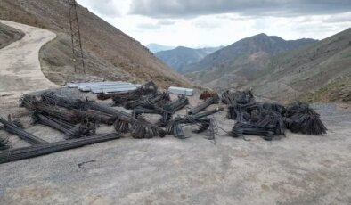 Şırnak-Hakkari Enerji Hattı Projesi Başladı