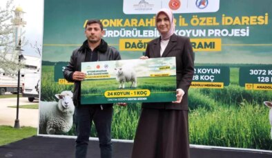 Sürdürülebilir Koyun Projesi Başladı