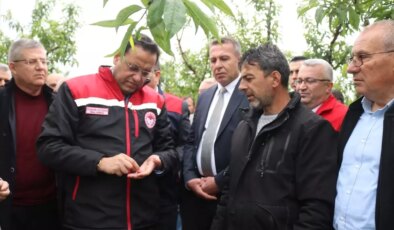 Zirai Don Sonrası Denizli’de Çiftçilere Devlet Desteği Vurgusu