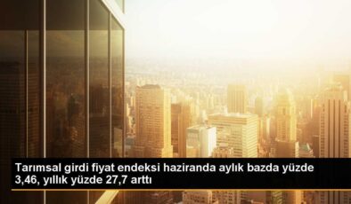 Tarımsal Girdi Fiyat Endeksi Haziranda Yükseldi