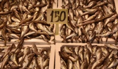 Trabzon’da Balık Fiyatları