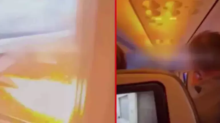  uçak motoru tavşan1