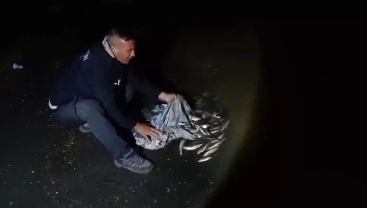 VAN’da Kaçak Avlanan 60 Kilo Balık Ele Geçirildi