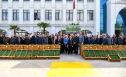 Yalova’da 240 Çiftçiye 375 Bin Sebze Fidesi Dağıtıldı