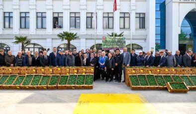 Yalova’da 240 Çiftçiye 375 Bin Sebze Fidesi Dağıtıldı