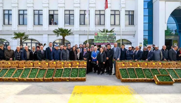 Yalova’da 240 Çiftçiye 375 Bin Sebze Fidesi Dağıtıldı