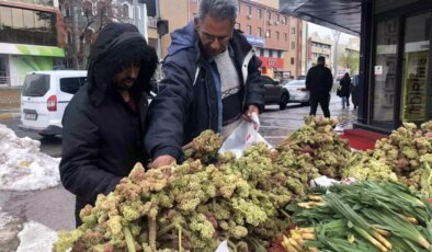 Yayla Muzu: Kanser Tedavisinde Umut!