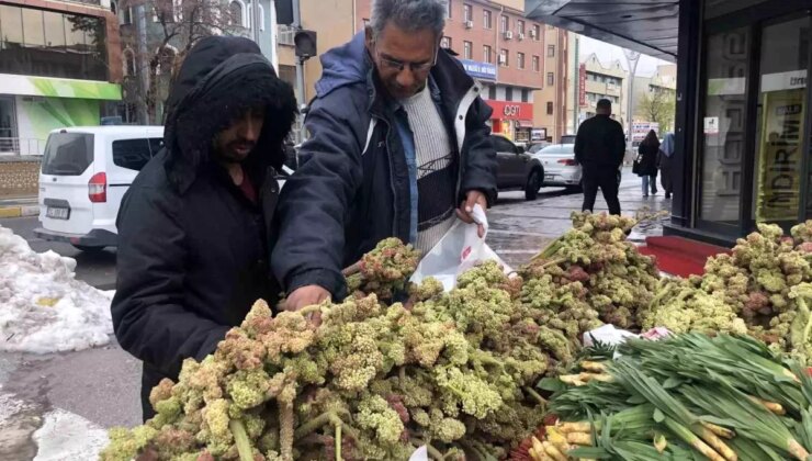 Yayla Muzu: Kanser Tedavisinde Umut!
