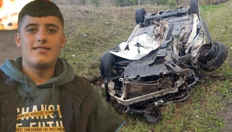 Yola çıkan domuz faciaya neden oldu!