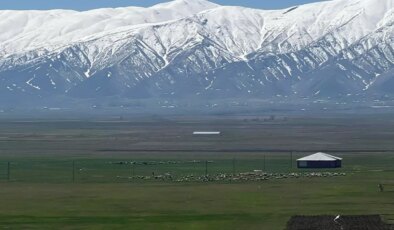 Yüksekova’da Çoban Sıkıntısı