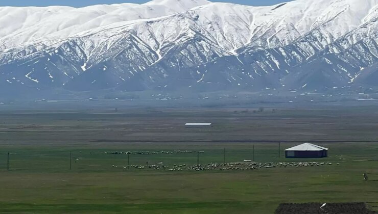 Yüksekova’da Çoban Sıkıntısı