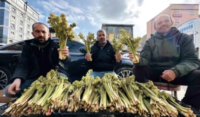 Yüksekova’da ‘Yayla Muzu’ 100 TL’den Satışta