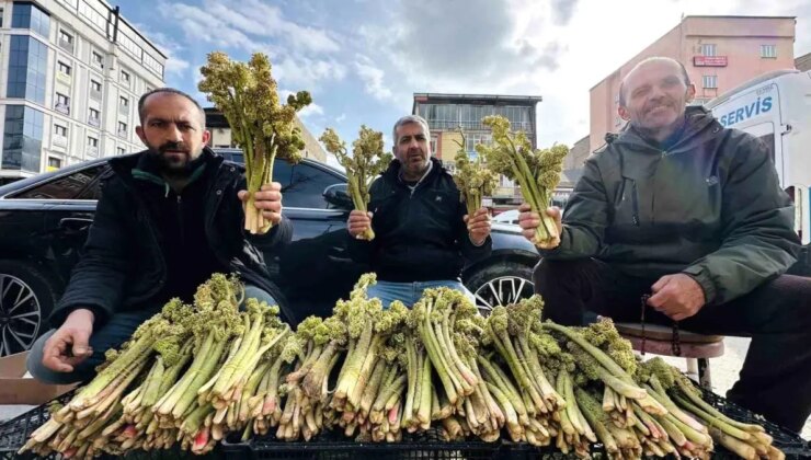 Yüksekova’da ‘Yayla Muzu’ 100 TL’den Satışta