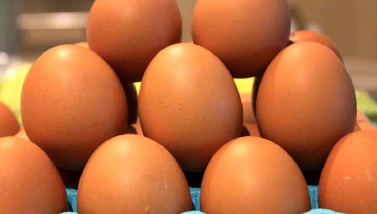 Yumurta İhracatında Hedef 500 Milyon Dolar