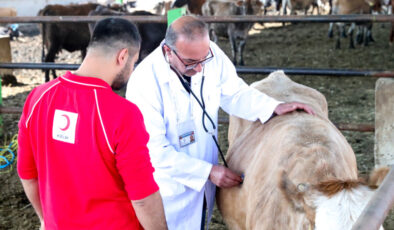 2025 Kurbanlık Fiyatları Açıklandı