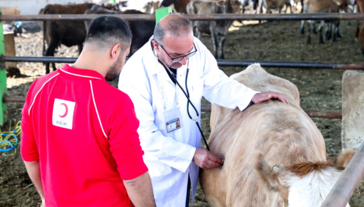 2025 Kurbanlık Fiyatları Açıklandı