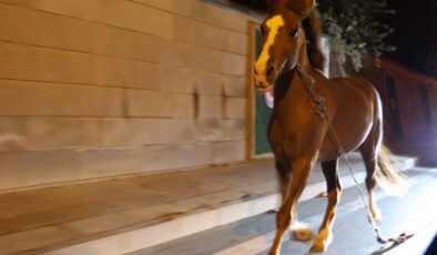 Vatandaşlar Yağmur Altında Seferber Oldu!