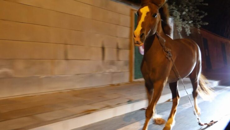 Vatandaşlar Yağmur Altında Seferber Oldu!