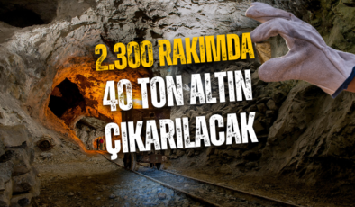 Koza’dan Alucra’da Dev Altın Hamlesi