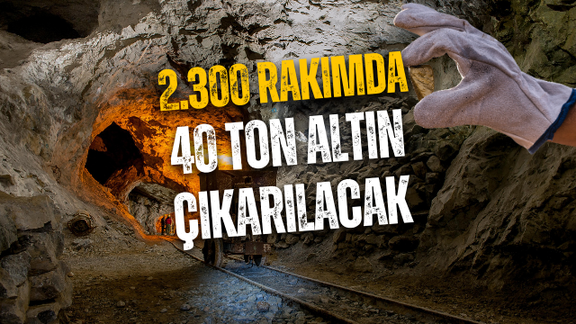 Koza’dan Alucra’da Dev Altın Hamlesi