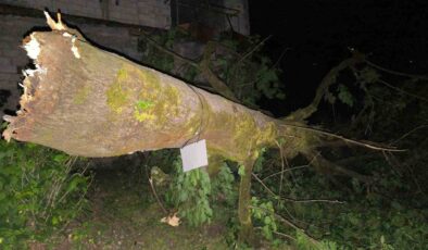 Artvin’de Şiddetli Fırtına Hayatı Olumsuz Etkiledi