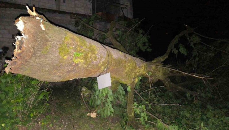 Artvin’de Şiddetli Fırtına Hayatı Olumsuz Etkiledi