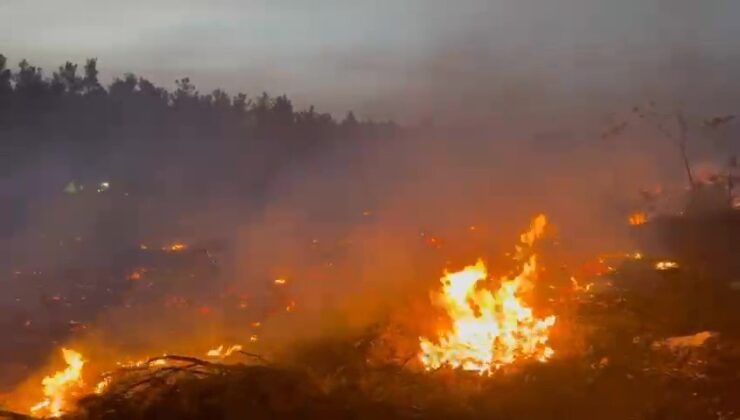 Orman Yangını Köylülerin Desteğiyle 2 Saatte Kontrol Altına Alındı