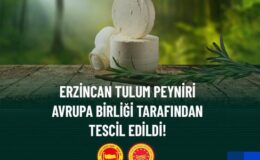 Erzincan Tulum Peyniri Avrupa Birliği’nden Coğrafi İşaret Tescili Aldı