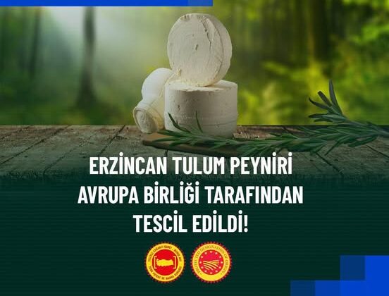 Erzincan Tulum Peyniri Avrupa Birliği’nden Coğrafi İşaret Tescili Aldı
